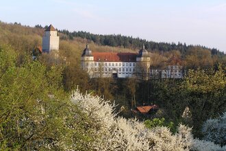 Pfad der Stille Schöntal Tour 3: Auf den Spuren unserer Vorfahren - Zu Kelten und Germanen