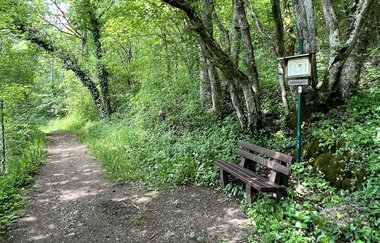 Rundwanderweg RW 7 Rund um Langenburg