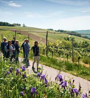 Themenroute Wein & Genuss