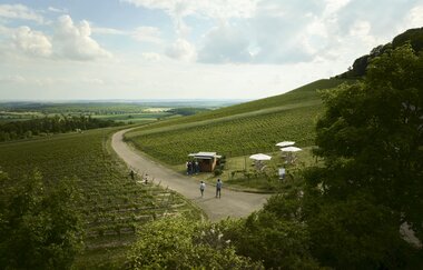 Blick von oben auf einen kleinen Wein-Ausschank mit Sitzgelegenheiten und Sonnenschirmen mitten im Weinberg.