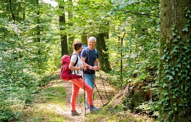 Wanderer im Wald