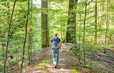 Wanderer im Wald