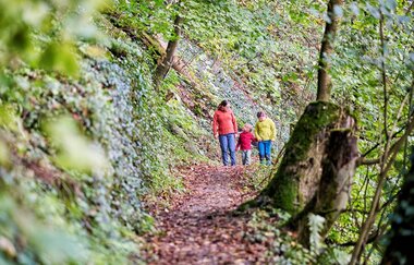 Familie wandert im Wald